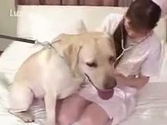 Nurse molested by a crazy dog